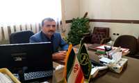 رشد ۲۰ درصدی کشت کلزا در خراسان رضوی